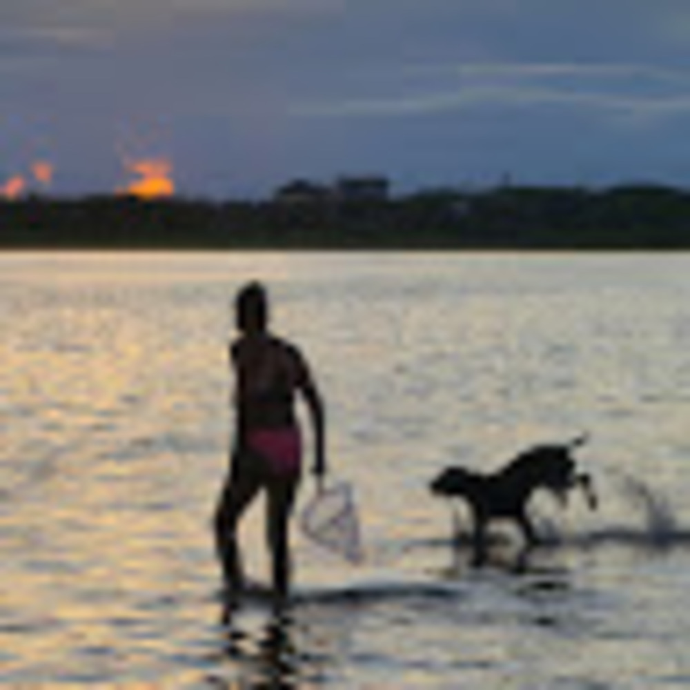 Meet your Posher, Jill